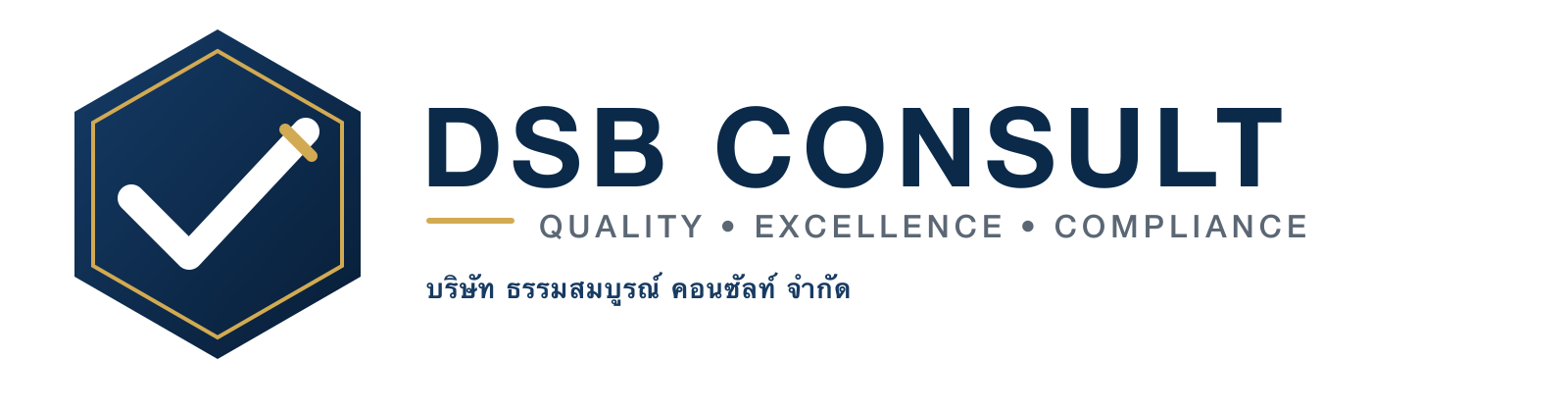 DSB Consult